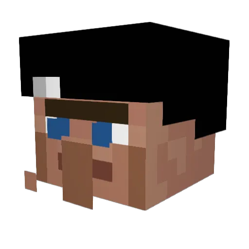 _Poepkoekje_ Minecraft avatar head, 3D render