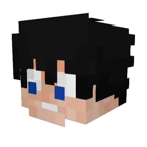 _Poland_RG_ Minecraft avatar head, 3D render