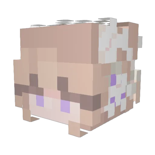 _Polarosity Minecraft avatar head, 3D render