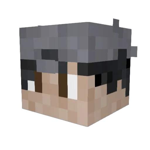 _Porcupine_ Minecraft avatar head, 3D render