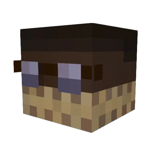 _Poritz_ Minecraft avatar head, 3D render