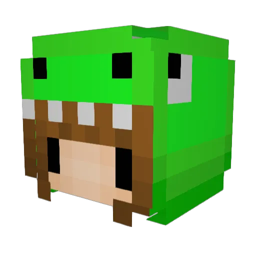 _PotRoast_ Minecraft avatar head, 3D render