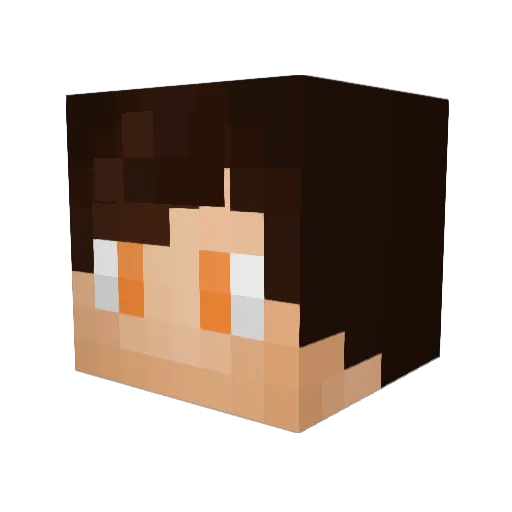 _ProQ_ Minecraft avatar head, 3D render