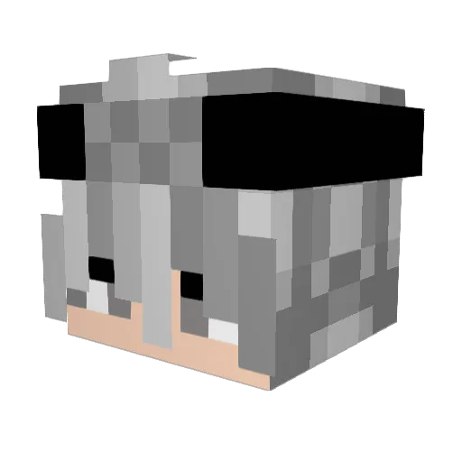 _Pronoun Minecraft avatar head, 3D render