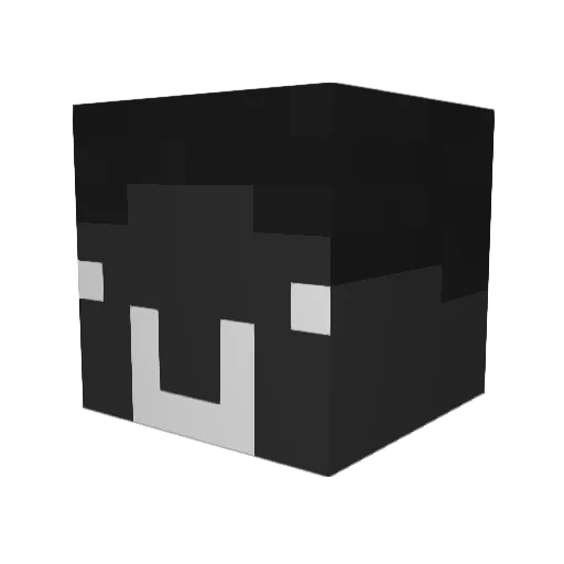 _Provola Minecraft avatar head, 3D render