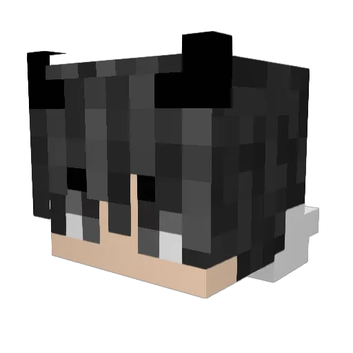 _Proxon_ Minecraft avatar head, 3D render