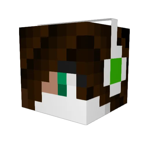 _Puffelchen_ Minecraft avatar head, 3D render