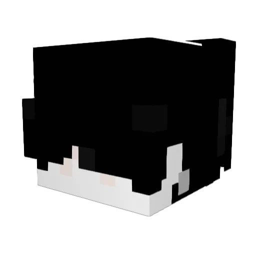 _Puka Minecraft avatar head, 3D render