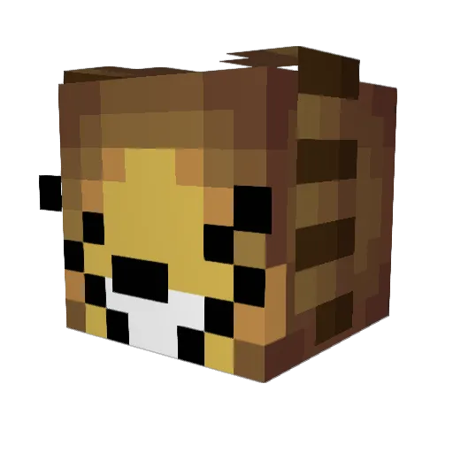 _Pumpkin_Rabbit_ Minecraft avatar head, 3D render