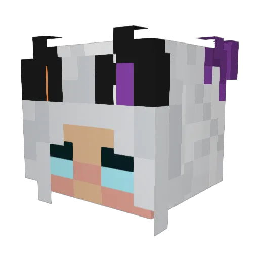 _Pumpkinspice_ Minecraft avatar head, 3D render
