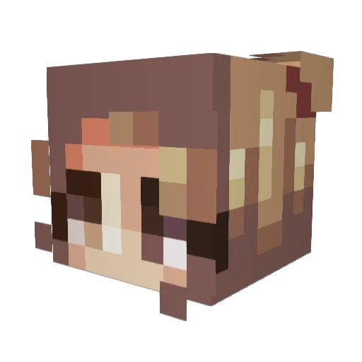 _Punapple_ Minecraft avatar head, 3D render