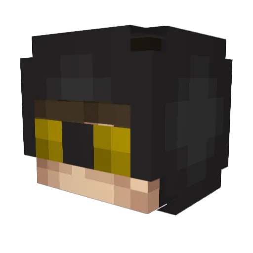 _Pupsox Minecraft avatar head, 3D render