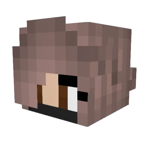 _PurpleArrow_ Minecraft avatar head, 3D render