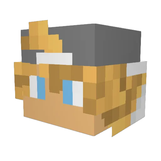 _PurpleYT_ Minecraft avatar head, 3D render