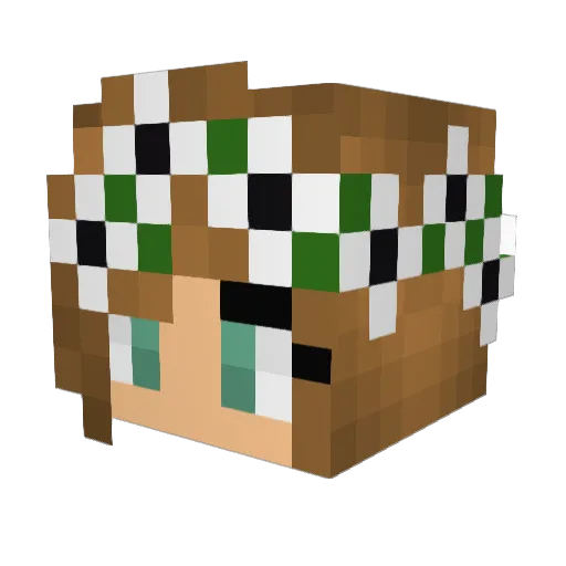 _PussyDestroyer_ Minecraft avatar head, 3D render
