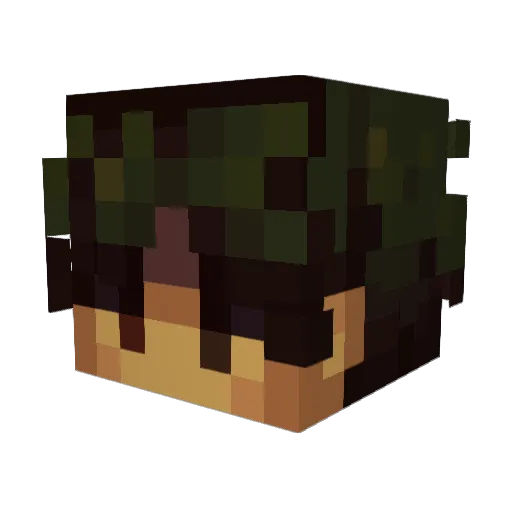 _Quackers Minecraft avatar head, 3D render