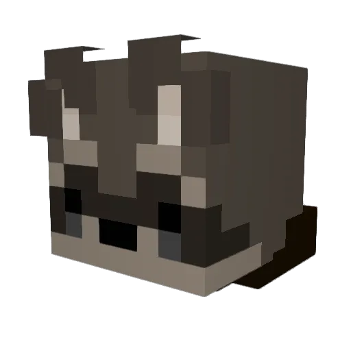 _Quackerz Minecraft avatar head, 3D render