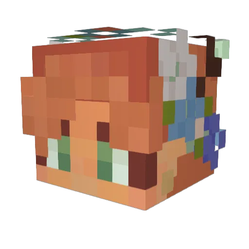 _Quinnncy_ Minecraft avatar head, 3D render