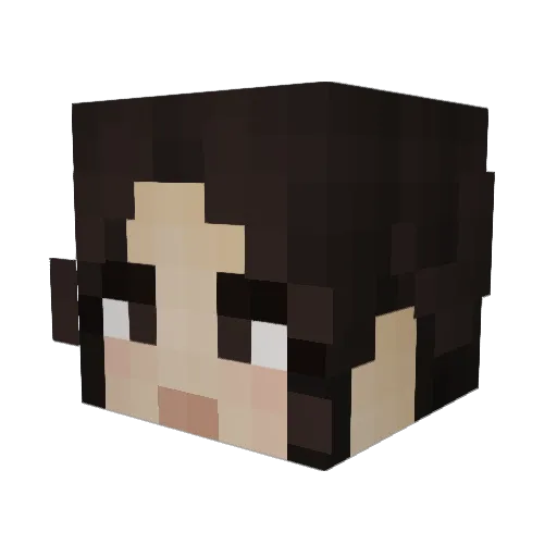 _Quintoh_ Minecraft avatar head, 3D render
