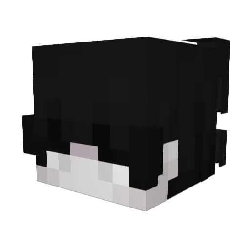 _R00_ Minecraft avatar head, 3D render