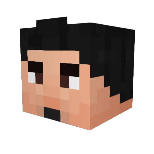 _RAFFALE_ Minecraft avatar head, 3D render