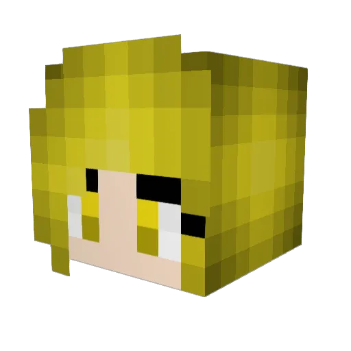 _REINIS_ Minecraft avatar head, 3D render