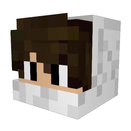 _RG_Vlad62658 Minecraft avatar head, 3D render