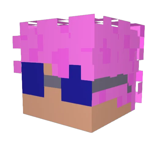 _RIFLEX Minecraft avatar head, 3D render