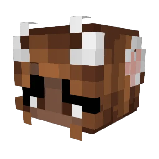 _RRINN_ Minecraft avatar head, 3D render