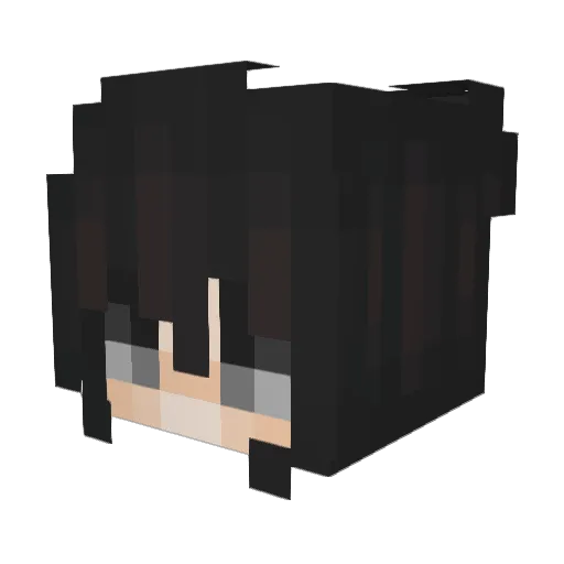_RVR Minecraft avatar head, 3D render