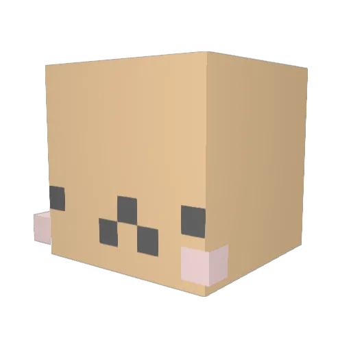 _RabbiCat_ Minecraft avatar head, 3D render