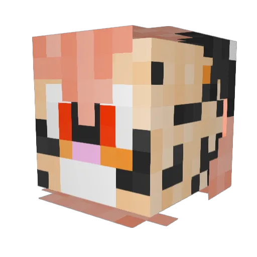 _Radianctive_ Minecraft avatar head, 3D render