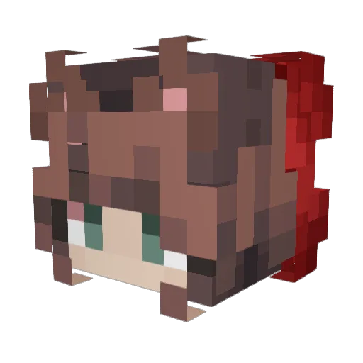 _Radicals Minecraft avatar head, 3D render
