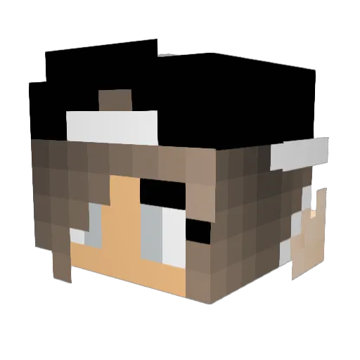 _Rae Minecraft avatar head, 3D render