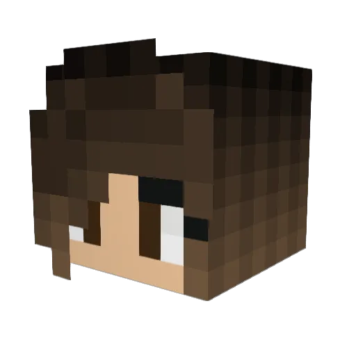 _RafaCamargo Minecraft avatar head, 3D render