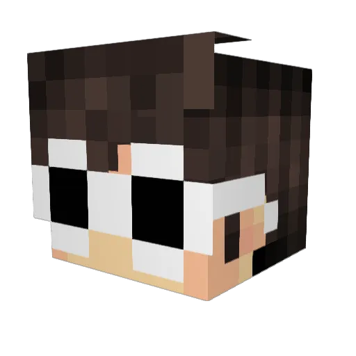 _RageQuit_ Minecraft avatar head, 3D render