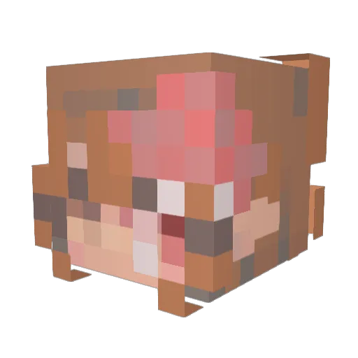 _RagingStorm_ Minecraft avatar head, 3D render
