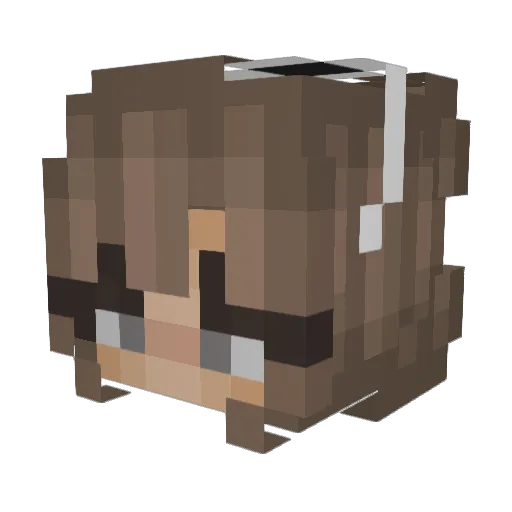 _Rainbow_Rose_ Minecraft avatar head, 3D render