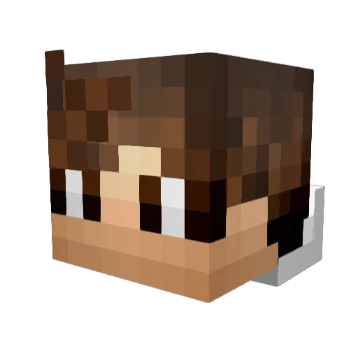 _RainySK_ Minecraft avatar head, 3D render