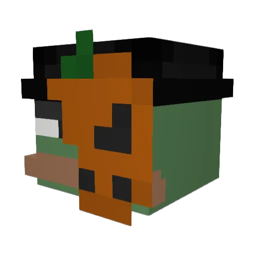 _Raisins Minecraft avatar head, 3D render