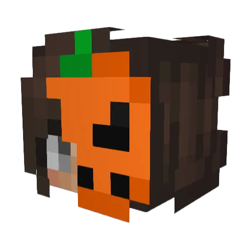 _RamenNoodlez Minecraft avatar head, 3D render