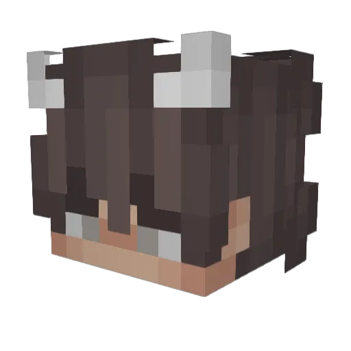 _Random_Guy_ Minecraft avatar head, 3D render