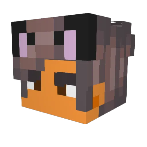 _Random_name_idk Minecraft avatar head, 3D render