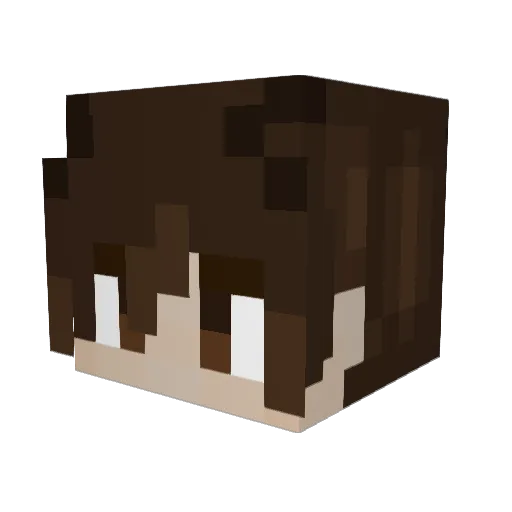 _Rante_ Minecraft avatar head, 3D render