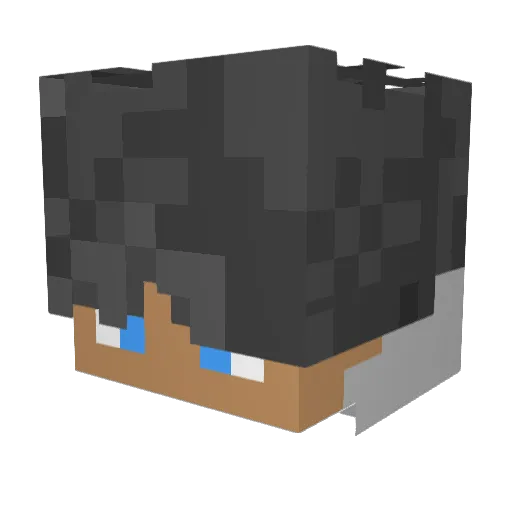 _Raszynek12 Minecraft avatar head, 3D render