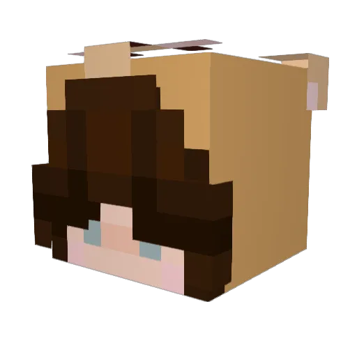 _Ratona Minecraft avatar head, 3D render