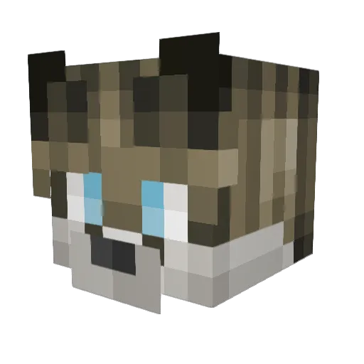 _Raviin_ Minecraft avatar head, 3D render