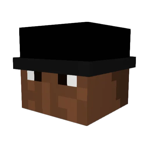 _RayRayMC Minecraft avatar head, 3D render
