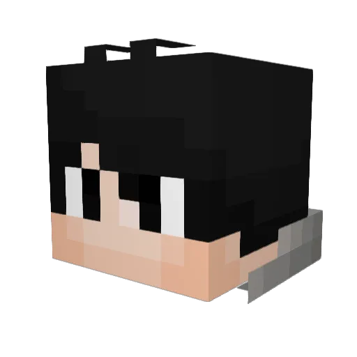 _ReVeRsO_X Minecraft avatar head, 3D render