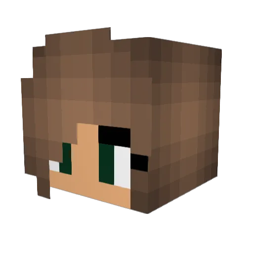 _Recon__ Minecraft avatar head, 3D render